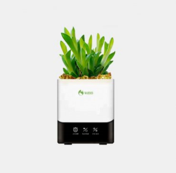 NoPath - Sao chép (34)